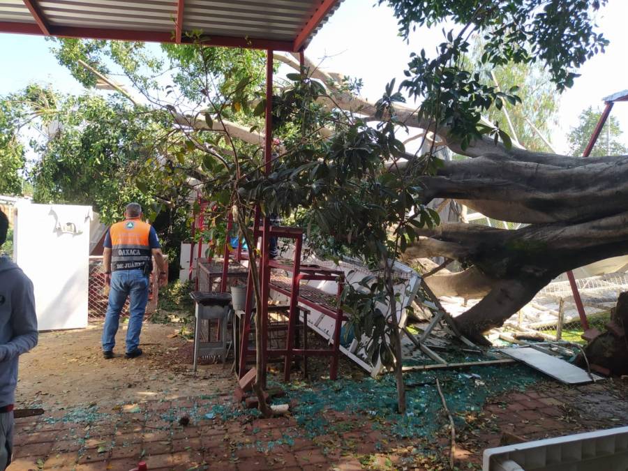 Continúan trabajos de atención y monitoreo en Oaxaca de Juárez tras lluvias