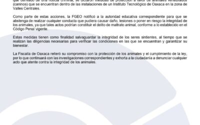 Dicta FGEO medidas de protección a perros que habitan campus del Instituto Tecnológico ante probable riesgo de ser víctimas de crueldad animal