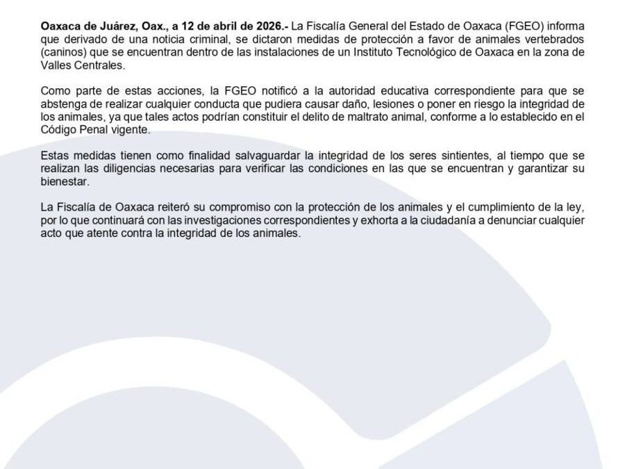 Dicta FGEO medidas de protección a perros que habitan campus del Instituto Tecnológico ante probable riesgo de ser víctimas de crueldad animal