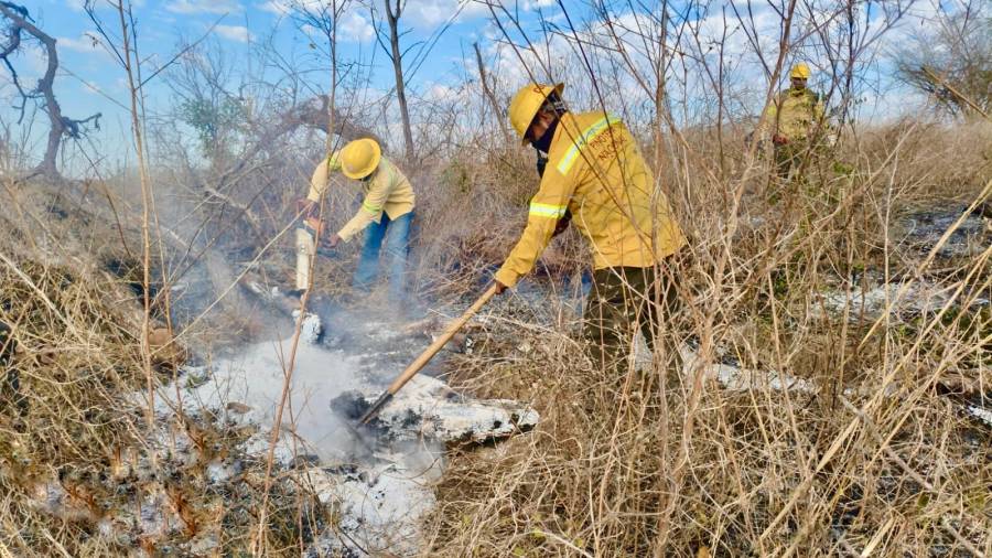 mantiene-coesfo-atencion-a-incendios-forestales-y-de-pastizales-en-las-ocho-regiones-de-oaxaca-69d42900e154d