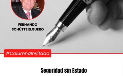 Seguridad sin Estado