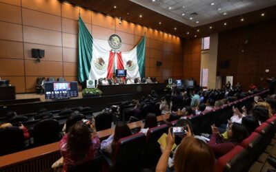Otorgar voz a la ciudadanía permite que las leyes sean más eficientes: Cynthia Murrieta Moreno
