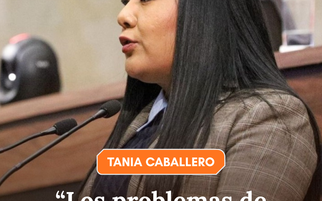 Los problemas de México los vamos a resolver las y los mexicanos, sin tutelas ni presiones del exterior”: diputada Tania Caballero
