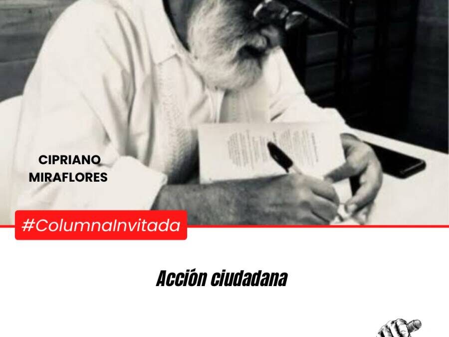 Acción ciudadana