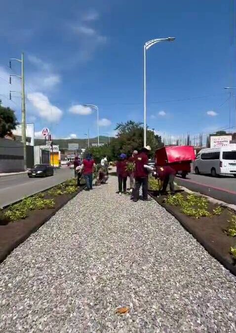 Camellones más limpios y mejor imagen urbana para nuestra capital