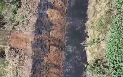 Después de 50 años, intervienen arroyo de San Juan Bautista La Raya para prevenir inundaciones