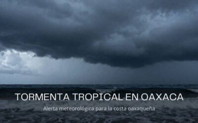 El mar gana terreno otra vez: la costa oaxaqueña vive el mar de fondo agravado por la tormenta Boris