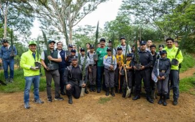 Encabeza Ray Chagoya intensa jornada de reforestación en el Cerro del Fortín