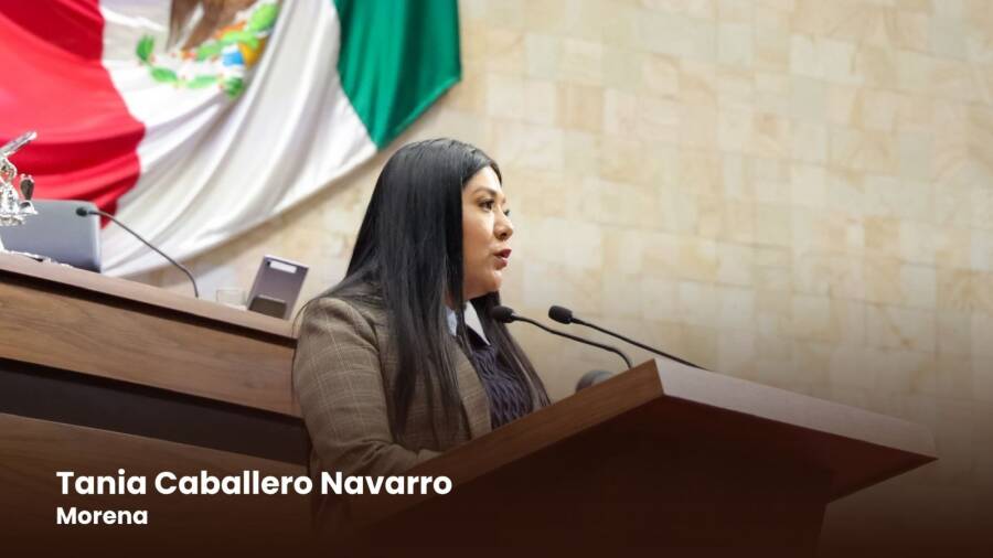 presenta-diputada-tania-caballero-reforma-a-la-constitucion-de-oaxaca-para-blindar-procesos-electorales-ante-intervencion-extranjera-6a1f30ef5eb41