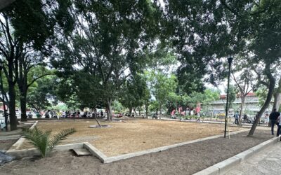 Consulta abierta: qué se hará en la jardinera de El Llano que encendió la polémica