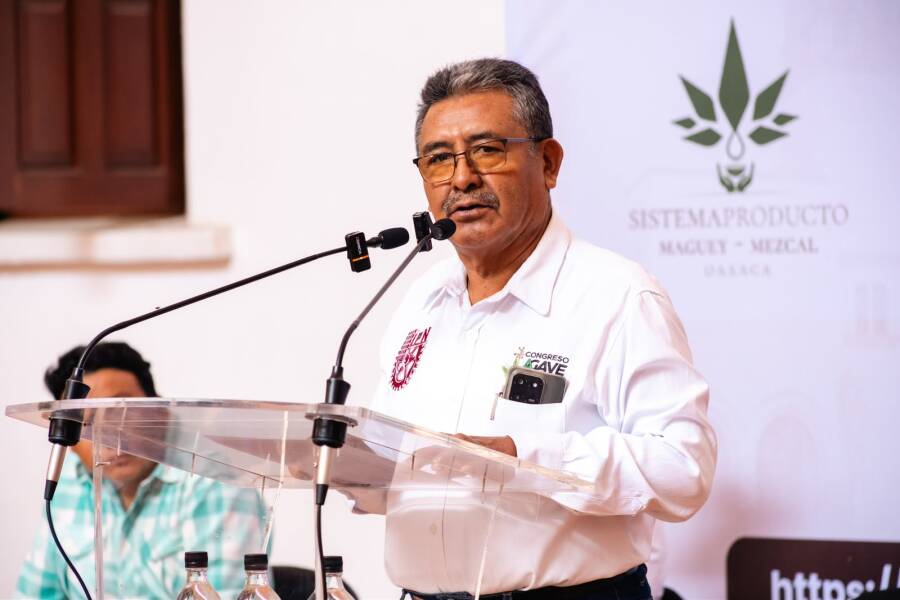 oaxaca-sera-sede-del-congreso-nacional-e-internacional-agave-mezcal-2026-6a6bb0a4650a9
