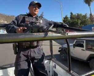 Plan Operativo Guelaguetza refuerza la seguridad y la movilidad en Oaxaca de Juárez