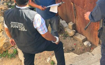 Sanciona Municipio de Oaxaca de Juárez caso de maltrato animal tras denuncia ciudadana