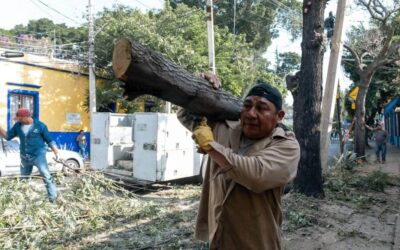 Trabajamos para cuidar nuestros espacios y prevenir riesgos