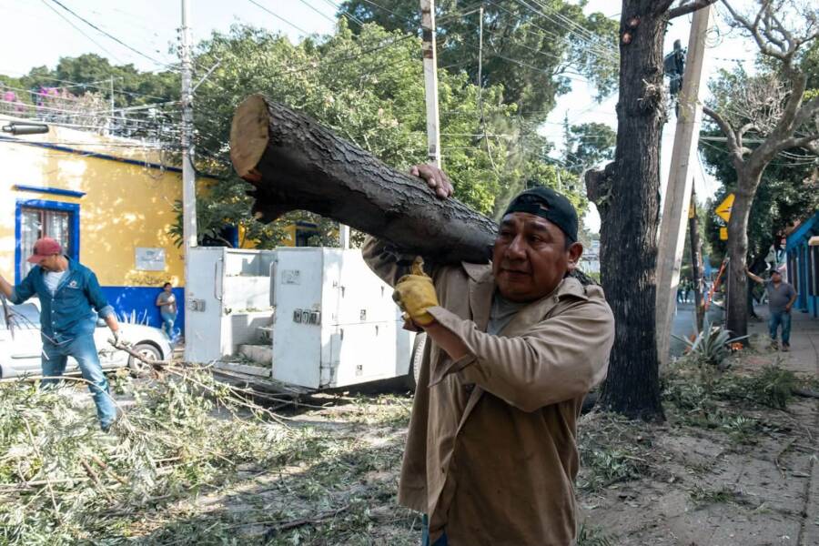 trabajamos-para-cuidar-nuestros-espacios-y-prevenir-riesgos-6a4bf34c306f4