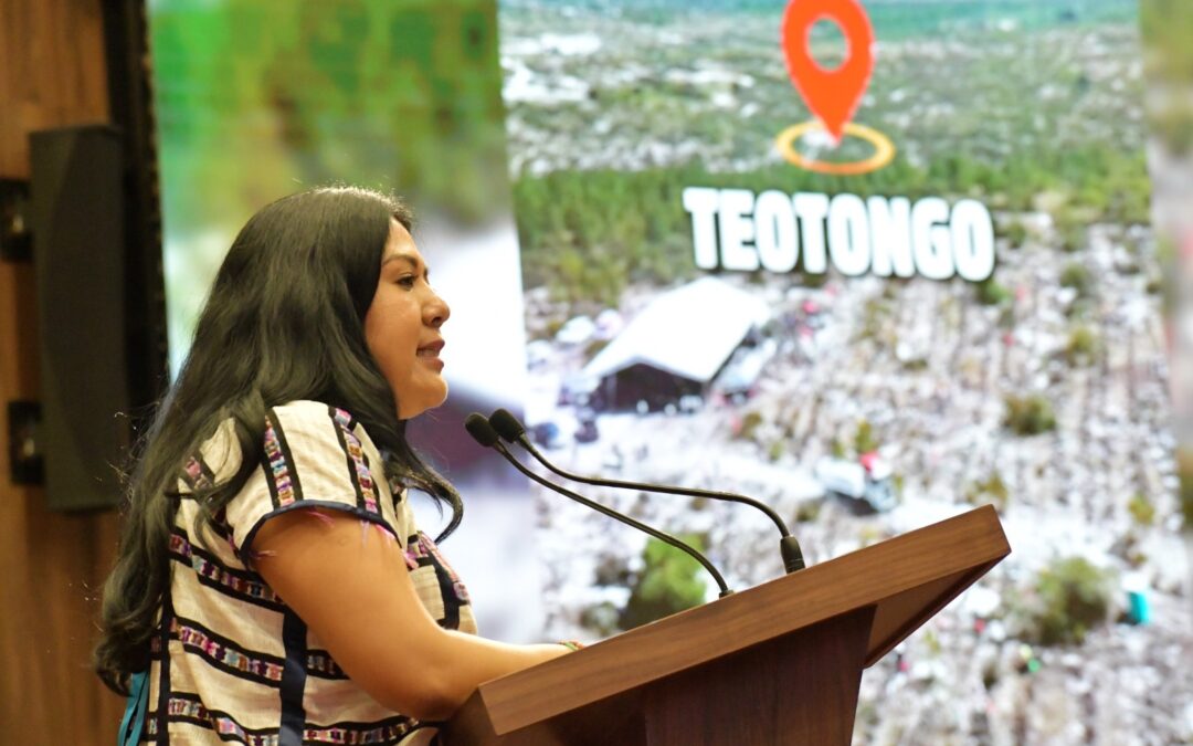 Destaca diputada Tania Caballero impacto de la Jornada Nacional de Reforestación en Oaxaca y la Mixteca