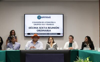 Comisión de Atención a Grupos Vulnerables se reúne con representantes del INAPAM y de la Fundación Teletón