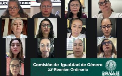 Comisión de Igualdad de Género incluye en la ley la dignidad humana y la autonomía de las mujeres como principios rectores