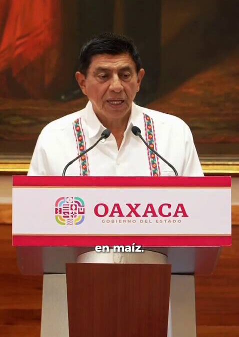 Compromiso cumplido: Oaxaca alcanza autosuficiencia en producción de maíz.