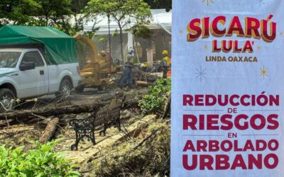 Gobierno de Oaxaca de Juárez prioriza el cuidado del arbolado del Paseo Juárez El Llano.