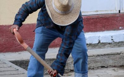 Gobierno municipal de Oaxaca de Juárez y ciudadanía suman esfuerzos para mejorar Panorámica del Fortín