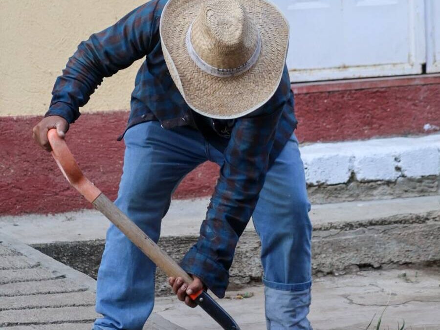 Gobierno municipal de Oaxaca de Juárez y ciudadanía suman esfuerzos para mejorar Panorámica del Fortín