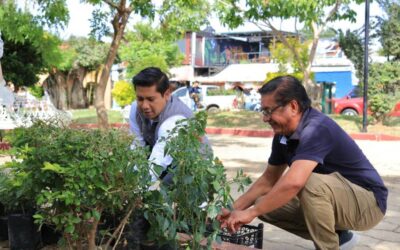 Instalan jardines polinizadores en Santa Cruz Xoxocotlán
