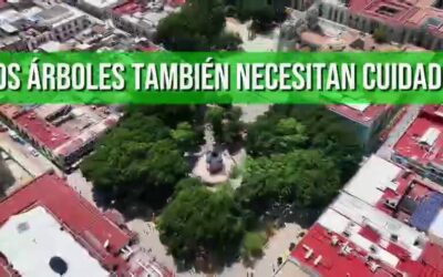 Invertir hoy para tener un Paseo Juárez El Llano más saludable y seguro