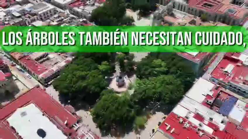 invertir-hoy-para-tener-un-paseo-juarez-el-llano-mas-saludable-y-seguro-6a7cb9128e3da