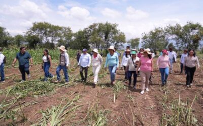 Recupera Ayuntamiento de Santa Cruz Xoxocotlán casi cuatro hectáreas de predio.