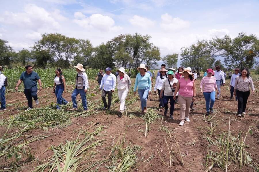 recupera-ayuntamiento-de-santa-cruz-xoxocotlan-casi-cuatro-hectareas-de-predio-6a8e0c992b6a1