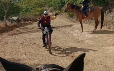 A caballo y con paso firme, Agrupamiento de Caballería refuerza la seguridad en Oaxaca de Juárez.