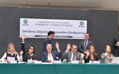 Aprueban en Comisión dictamen a iniciativa presidencial sobre servicios digitales