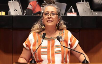 Busca iniciativa elevar a rango constitucional el derecho de toda persona a su identidad digital
