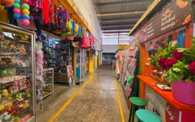 Cabildo aprueba actualización y regularización del padrón de mercados públicos