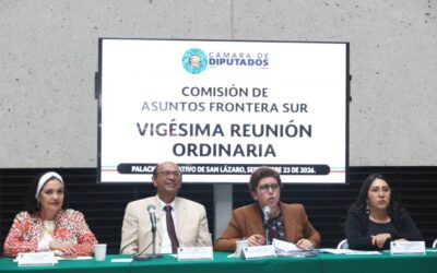 Comisión aprobó su programa anual de trabajo; se propone mantener a la Frontera Sur como región prioritaria en la agenda nacional