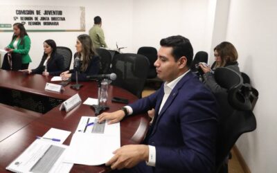 Comisión de Juventud aprobó su programa anual de trabajo; busca avanzar en la construcción de una ley general de personas jóvenes