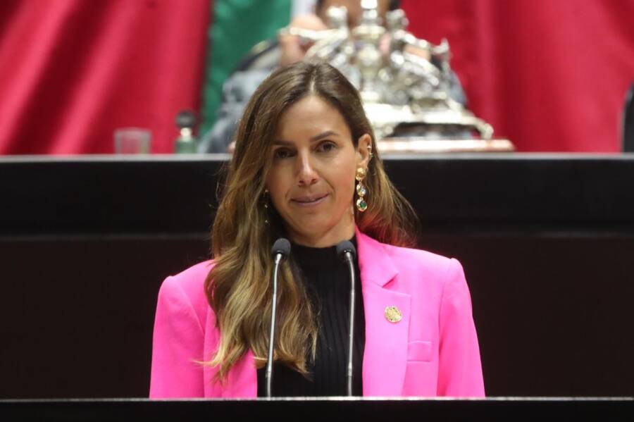 diputada-alejandra-chedraui-peralta-impulsa-iniciativa-para-castigar-el-abandono-de-personas-adultas-mayores-con-hasta-seis-anos-de-prision-6aab0a404236c