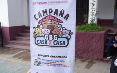 En Xoxocotlán se fortalecen acciones de prevención contra el gusano barrenador
