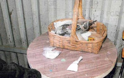 FGR asegura a una persona durante un cateo por el delito contra la salud en su modalidad de comercio, en Oaxaca.