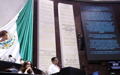 Hablante de lengua triqui destaca en la Cámara de Diputados la importancia de poner un granito de arena para visibilizarse