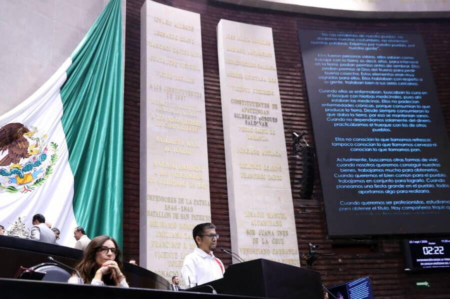 hablante-de-lengua-triqui-destaca-en-la-camara-de-diputados-la-importancia-de-poner-un-granito-de-arena-para-visibilizarse-6ab5443cd9a7d