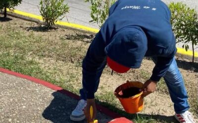 Realizan trabajos de limpieza y mantenimiento en el Monumento a los Niños Héroes