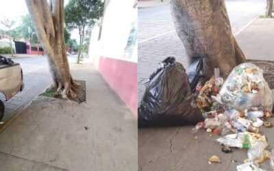 Refuerza el Gobierno de Oaxaca de Juárez la limpieza y mantenimiento de espacios públicos en la capital