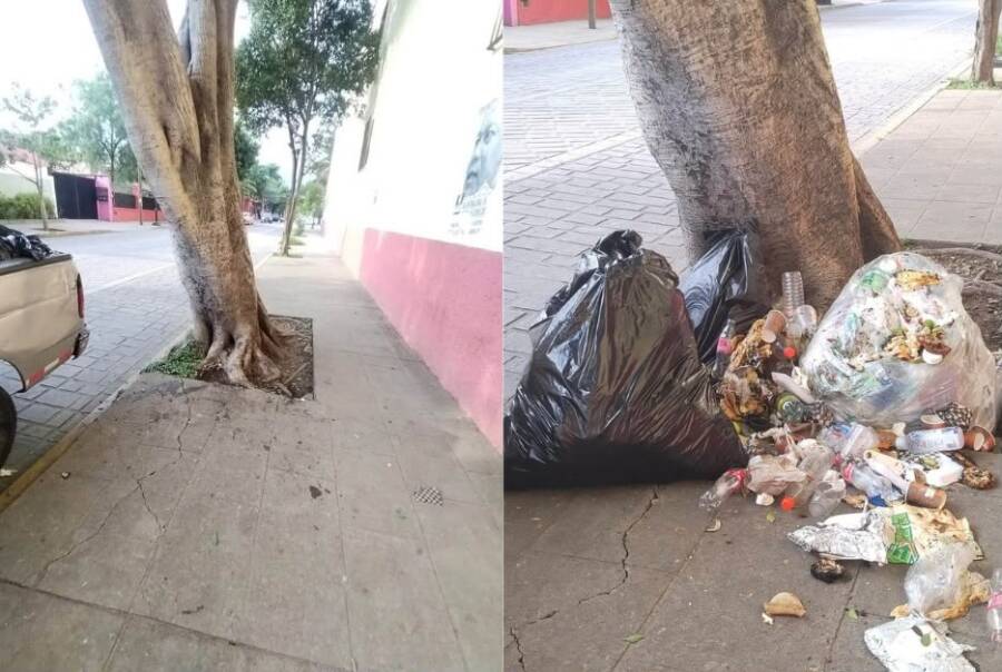 refuerza-el-gobierno-de-oaxaca-de-juarez-la-limpieza-y-mantenimiento-de-espacios-publicos-en-la-capital-6ab5ce83af65d