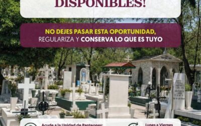 Regulariza y conserva tus derechos sobre una fosa