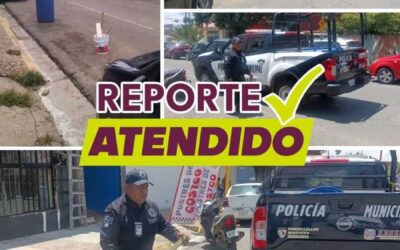 Reporte atendido en la colonia Reforma