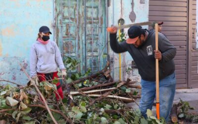 Tequio Vecinal fortalece la limpieza y el mantenimiento de espacios públicos en Trinidad de las Huertas