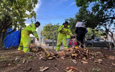 Tequio Vecinal mejora espacios públicos en la colonia Postal