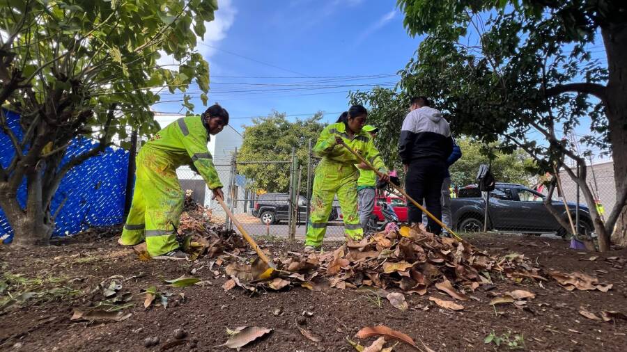 Tequio Vecinal mejora espacios públicos en la colonia Postal